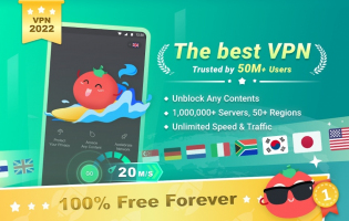 Tomato VPN Image 15