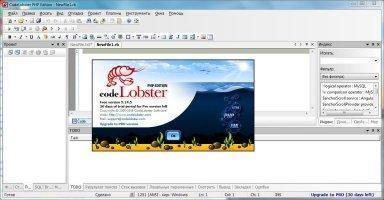 CodeLobster PHP Edition Image 8
