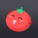 Tomato VPN