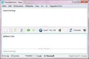 Client for Google Translate Image 5
