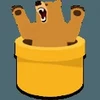 TunnelBear VPN