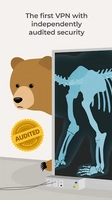 TunnelBear VPN Image 4