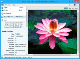 File Viewer Lite Image 2