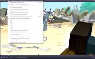 PotPlayer Image 5