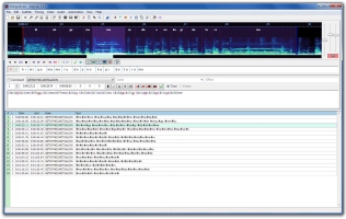 Aegisub Image 1