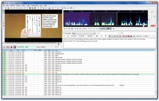 Aegisub Image 2