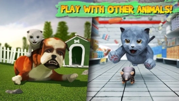 Cat Simulator Image 6