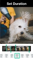 Magisto - Video Editor &amp; Music Image 3