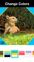 Magisto - Video Editor &amp; Music Image 6