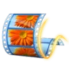 Windows Live Movie Maker