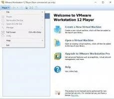 VMware Player Image 7