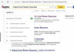 Adguard для Яндекс Браузера Image 5