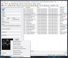 mp3Tag Image 4