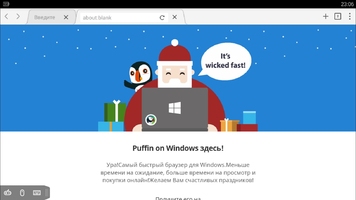 Puffin Web Browser Image 2